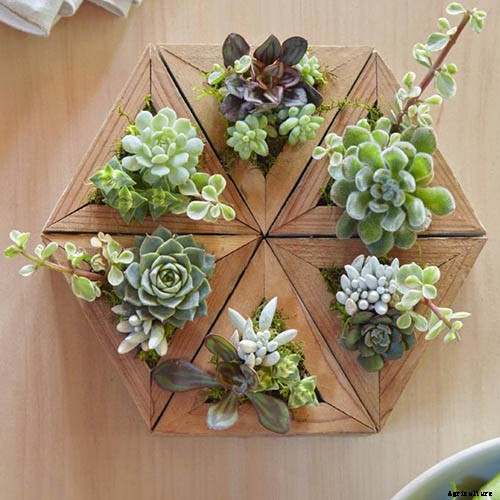 Gardening at Home: 31 of the Best Kits to Get Started