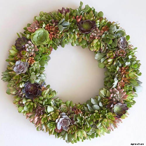 Gardening at Home: 31 of the Best Kits to Get Started