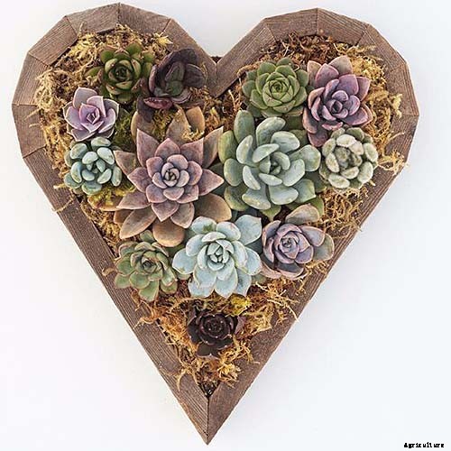 Gardening at Home: 31 of the Best Kits to Get Started