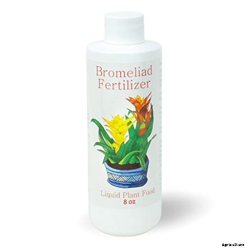 Gardening at Home: 31 of the Best Kits to Get Started