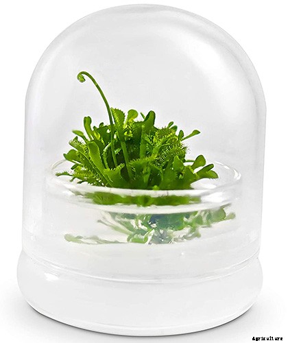 Gardening at Home: 31 of the Best Kits to Get Started