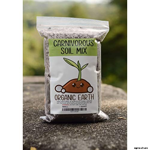 Gardening at Home: 31 of the Best Kits to Get Started