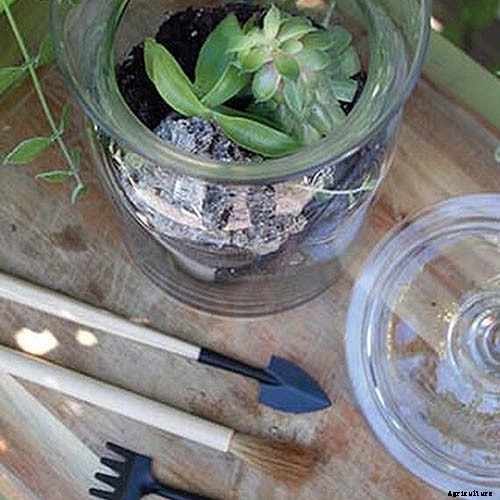 Gardening at Home: 31 of the Best Kits to Get Started