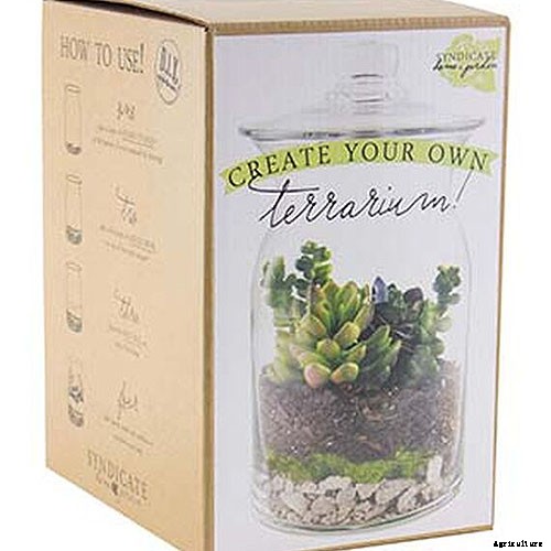 Gardening at Home: 31 of the Best Kits to Get Started