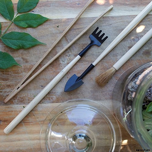 Gardening at Home: 31 of the Best Kits to Get Started