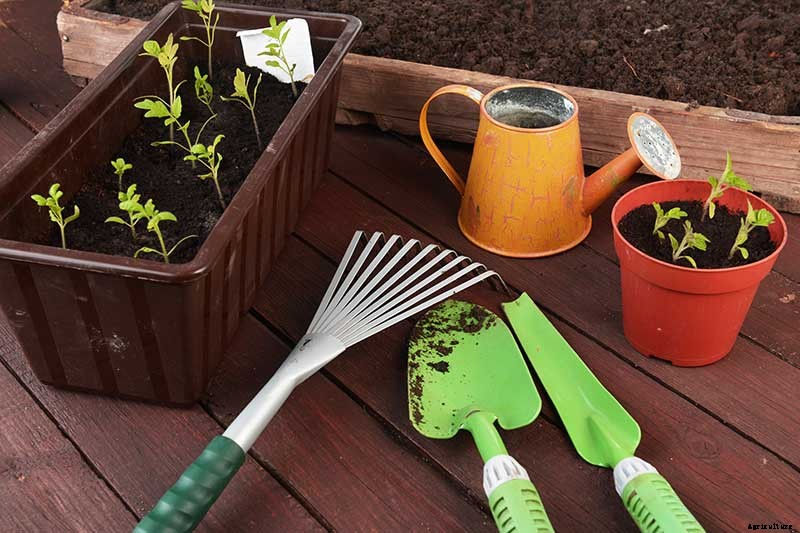 Gardening at Home: 31 of the Best Kits to Get Started