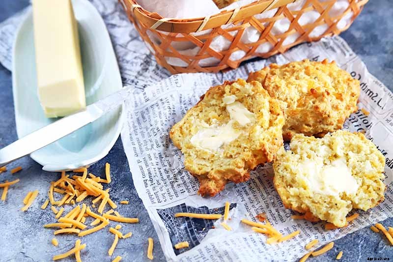 Tips for Growing Garlic in Containers