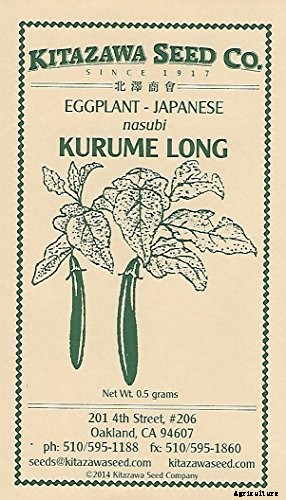 21 of the Best Japanese Eggplant Varieties