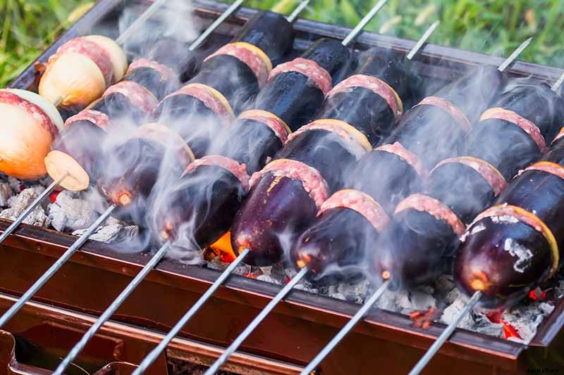 21 of the Best Japanese Eggplant Varieties