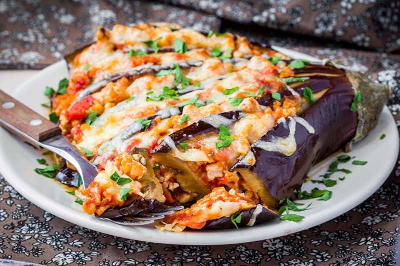 21 of the Best Japanese Eggplant Varieties