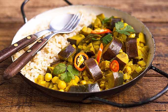 21 of the Best Japanese Eggplant Varieties