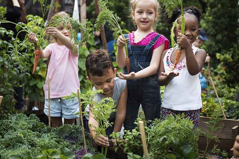 Tips for Growing Carrots Indoors