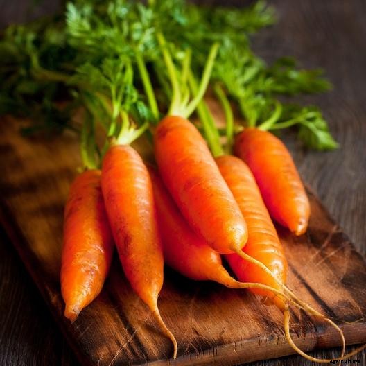 Tips for Growing Carrots Indoors