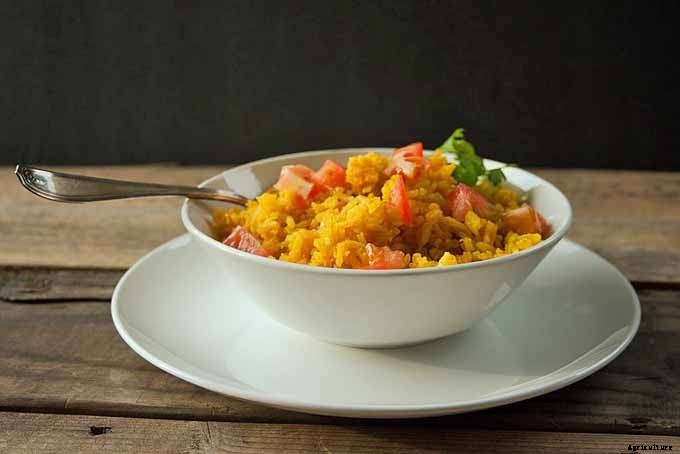 How to Grow Mexican Oregano