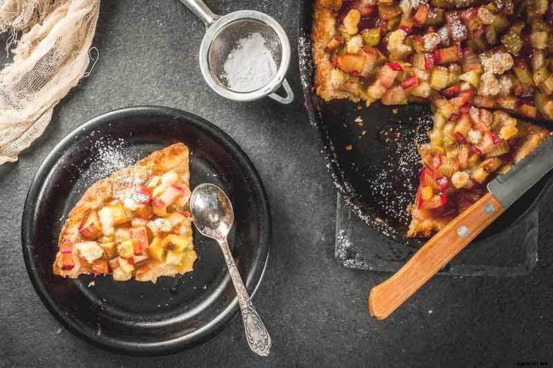 When and How to Harvest Rhubarb