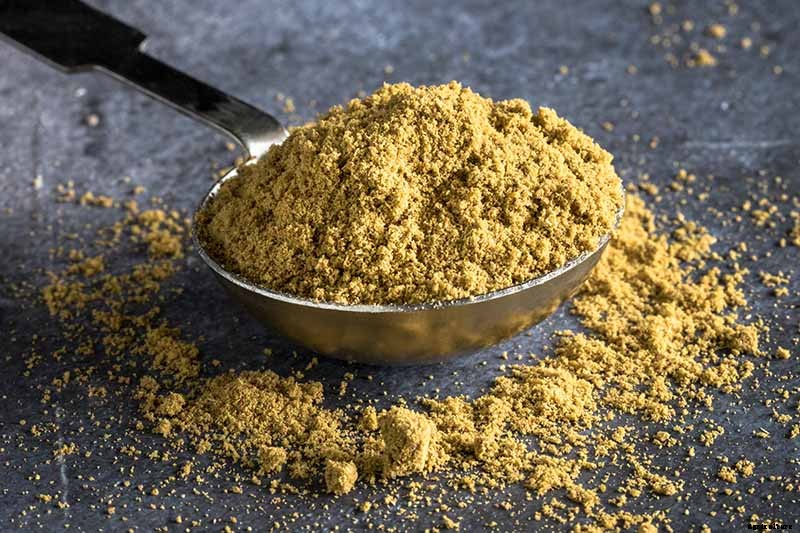 How To Grow and Care for Cumin in Your Garden