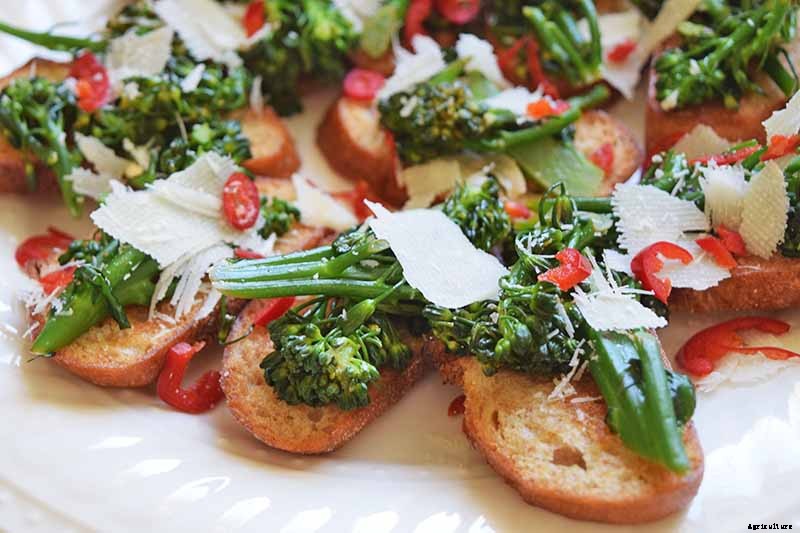 What Is the Difference Between Broccoli Rabe and Broccolini?