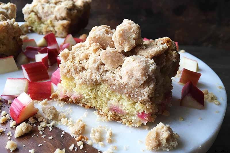 13 of the Best Rhubarb Varieties for the Garden