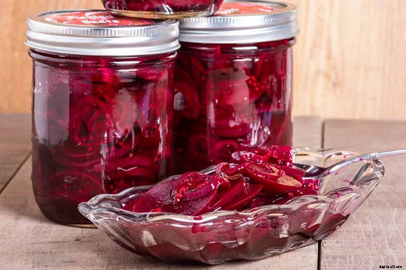 How to Grow Beets in Containers