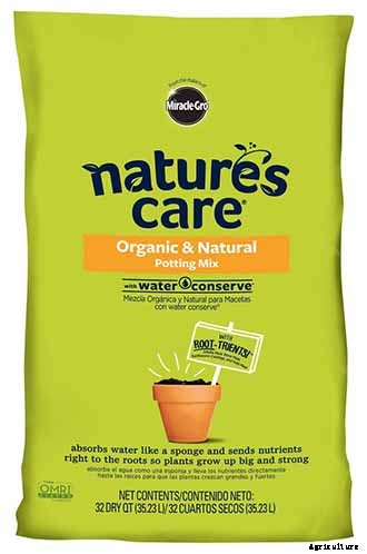 How to Grow Beets in Containers