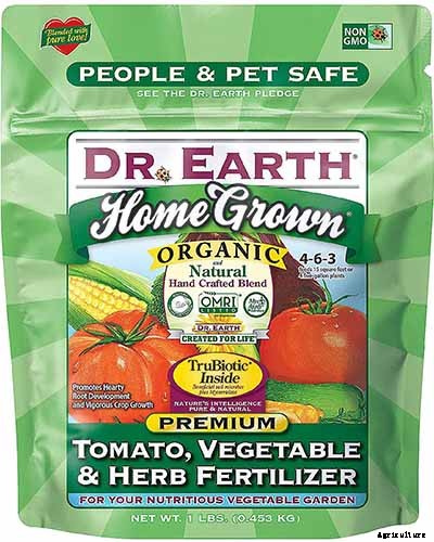 How to Grow Beets in Containers