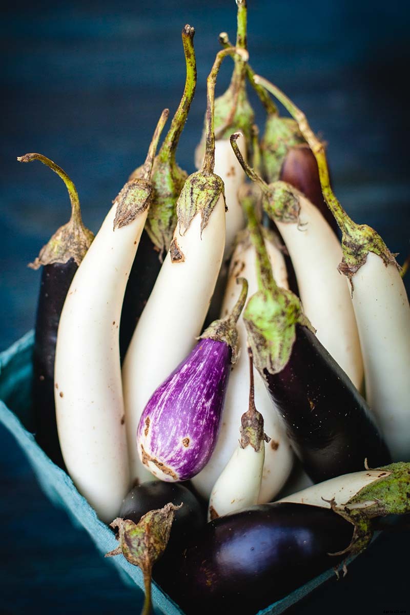 9 of the Best White Eggplant Varieties