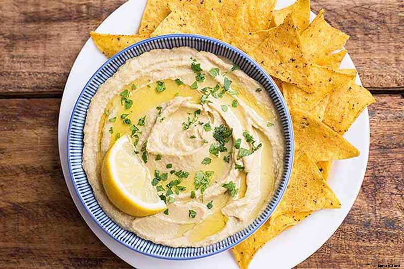 9 of the Best White Eggplant Varieties