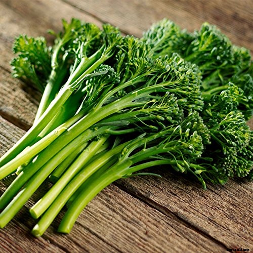 10 Best Broccoli Varieties for Your Garden (Plus 3 Delicious Bonus Options!)