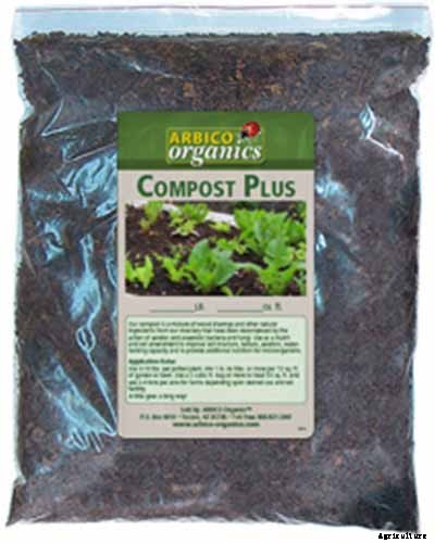 9 Reasons Your Crocus May Not Bloom