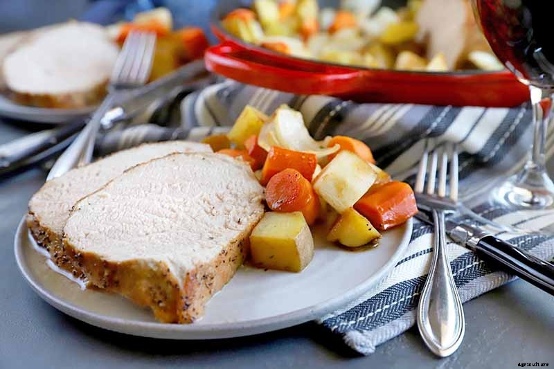 9 Causes of Deformed Carrots: How to Prevent Forking, Branching, Twisted, and Knobby Root Vegetables