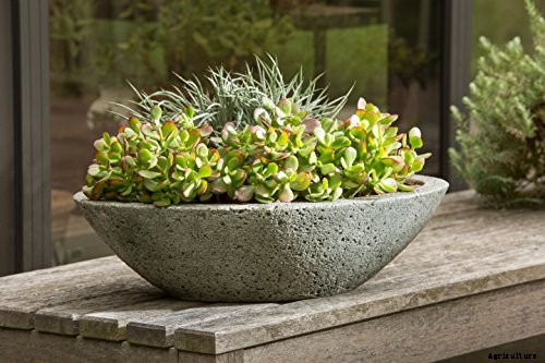 9 Must-Have Succulent Planters