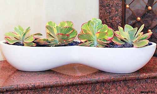 9 Must-Have Succulent Planters