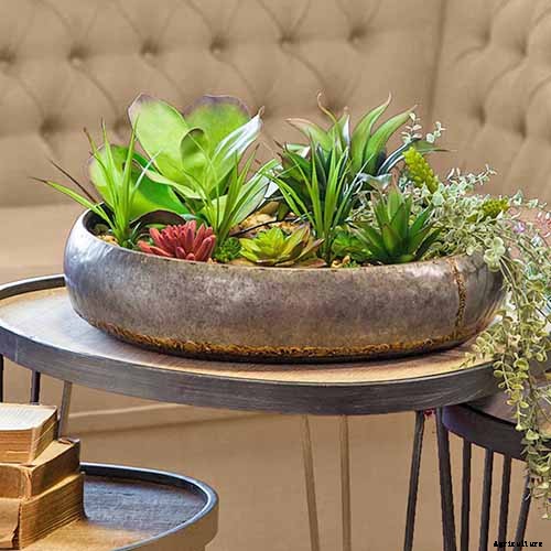 9 Must-Have Succulent Planters