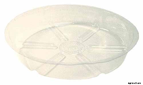 9 Must-Have Succulent Planters