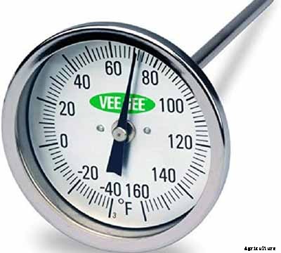 When to Plant Crocus Bulbs