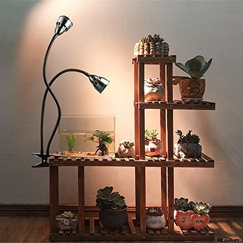 How to Propagate Basil