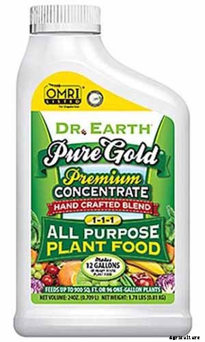 How to Grow Broccolini