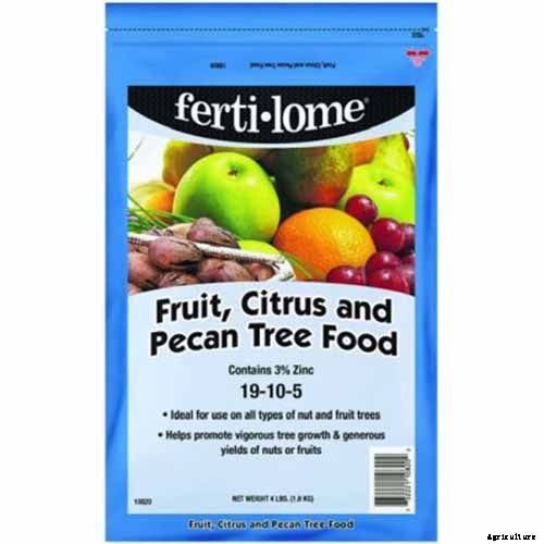 Growing Citrus Indoors: Create a Little Slice of Paradise