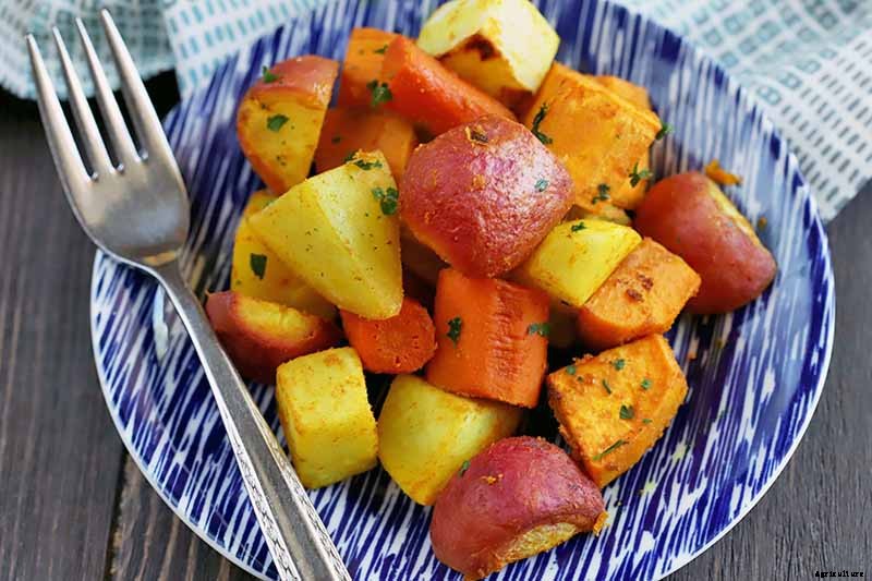 How to Harvest Turnips