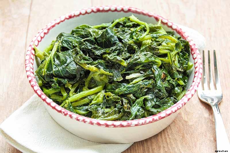 How to Harvest Turnips