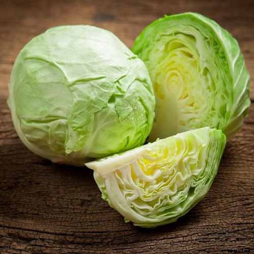 How to Grow Winter Cabbage for a Late-Season Harvest