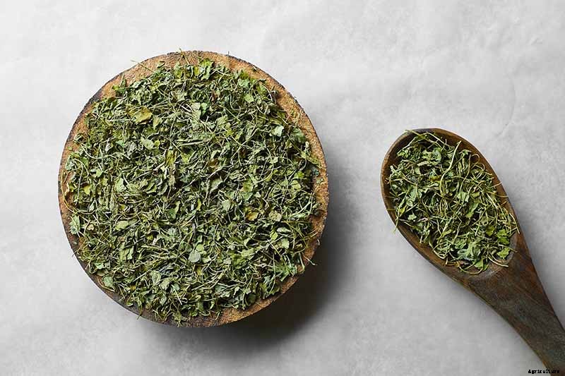 How to Grow Fenugreek