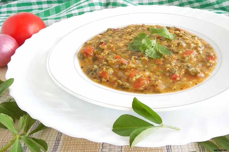 How to Grow Fenugreek