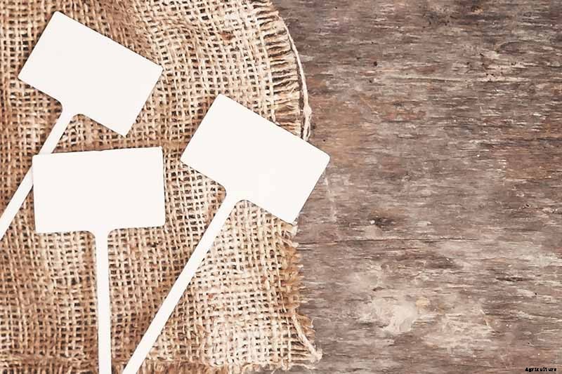 How to Store Carrots In the Ground