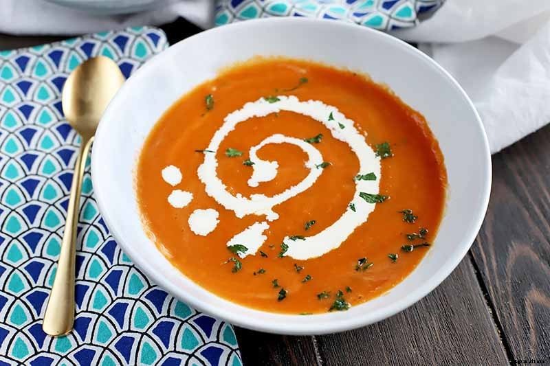 How to Grow Carrots in the Garden