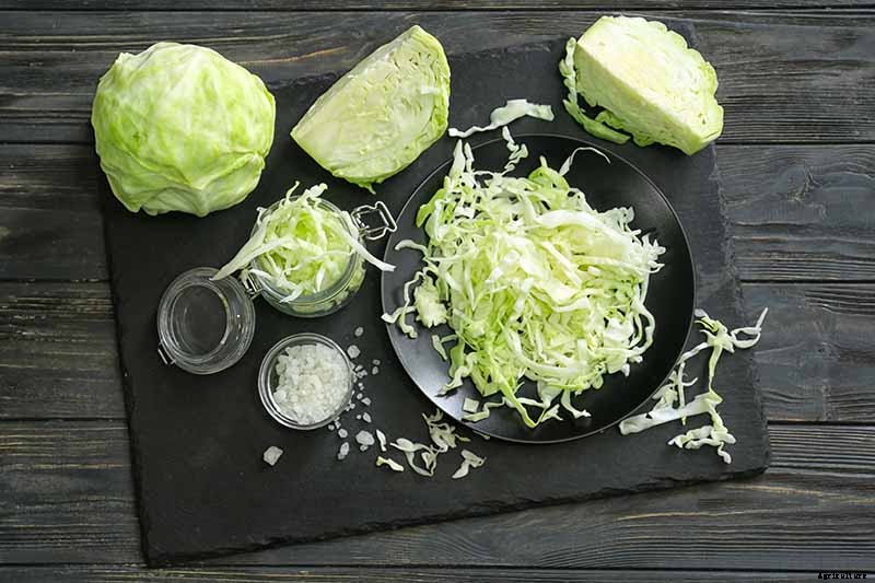 How Nutritious Is Raw Cabbage?
