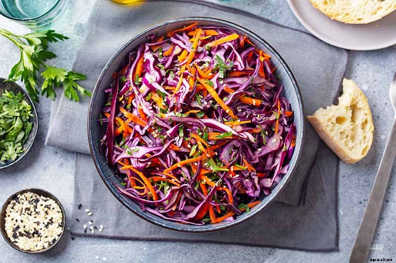 How Nutritious Is Raw Cabbage?