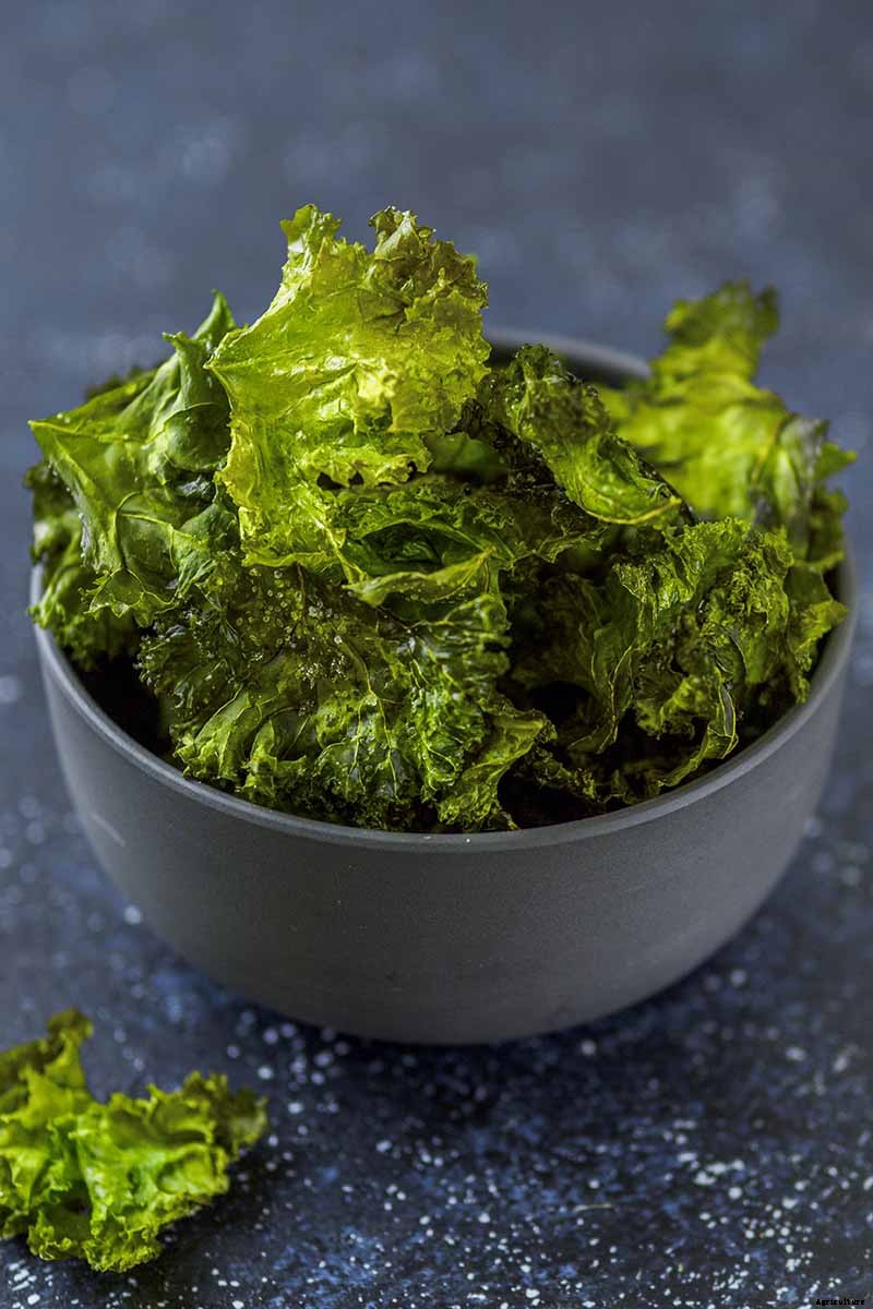 How Nutritious Is Raw Kale?