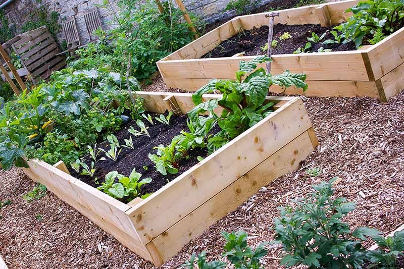 How to Plant an Autumn Vegetable Garden