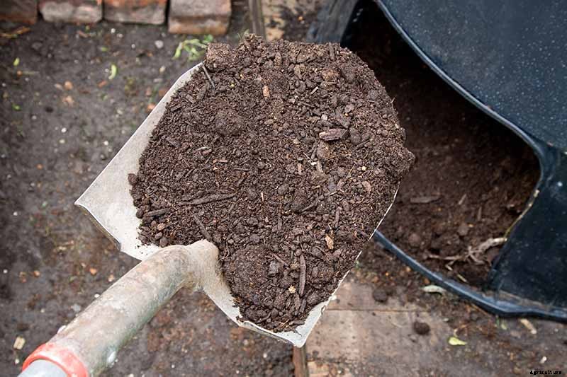How to Plant an Autumn Vegetable Garden